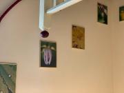3 Schlafzimmer Vienna 1190 66929101