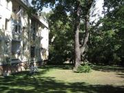 3 Schlafzimmer Wien 1190 98698707