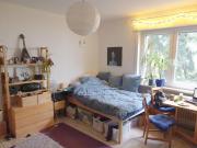 3 Schlafzimmer Wohnung Heidelberg Deutschland 77156685