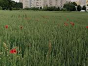 3 Schlafzimmer Wohnung Stuttgart Möhringen Deutschland...
