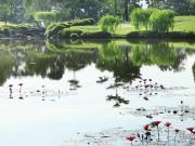 3 storey semi d, kajang, selangor