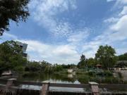 TERRENOS EN VENTA JUNTOS, O SEPARADOS de 10 x 45 c/u...