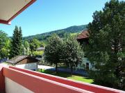 3 Zi. Wohnung im Herzen von Mondsee Dienergarten mit...