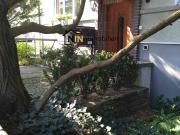 3 Zimmer, 105 m², 2. Stock