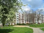 3 Zimmer 55 m² 322 € Kaltmiete Wohnungen in Erfurt