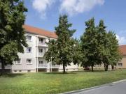 3 Zimmer 58 m² 350 € Kaltmiete Wohnungen in Halberstadt