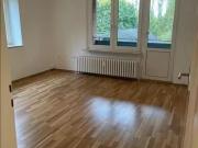 3 Zimmer 61 m² 430 € Kaltmiete Wohnungen in Witten