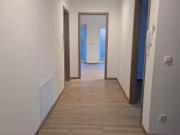 3 Zimmer 61 m² 862 € Kaltmiete Wohnungen in Dresden