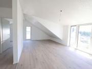 3 Zimmer 69 m² 790 € Kaltmiete Wohnungen in Aichhalden