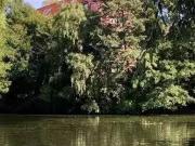 3 Zimmer 78 m² 1.500 € Kaltmiete Wohnungen in Hamburg