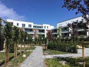 3 Zimmer 79 m² 798 € Kaltmiete Wohnungen in Ochtrup