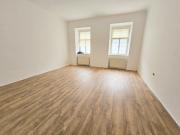 3 Zimmer Altbauwohnung mit kleinem Garten sucht neue...