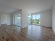 3 ½ Zimmer Attikawohnung in Brüttisellen mieten