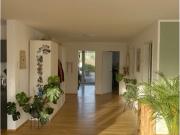 3½ Zimmer Attikawohnung in Winterthur Wülflingen,...