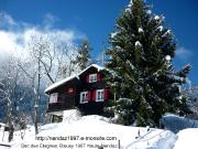 3 Zimmer Chalet