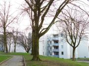 3 zimmer erdgeschosswohnung mit balkon zur miete in...