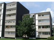 3 zimmer etagenwohnung mit balkon zur miete in essen...