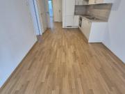 3 Zimmer mit Balkon und Garagenplatz, Nähe Kagraner Platz