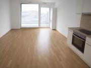 3 Zimmer Neubauwohnung mit 14m² WESTBALKON Abendsonne...