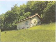3 Zimmer Rustico zum Ausbauen mit grosser Wiesenfläche...