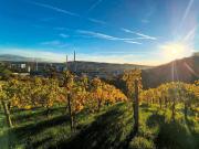 3 Zimmer Whg in Stgt Gaisburg Privatverkauf