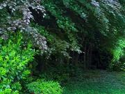 3 Zimmer Wohnjuwel mit Traumblick auf Nordrand des...