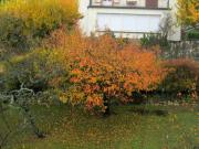 3 Zimmer Wohnung 3 Zimmer Wohnung