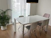 3½ Zimmer Wohnung in Bern Breitenrain, möbliert, auf Zeit