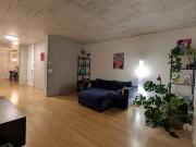 3½ Zimmer Wohnung in Bern Mattenhof, möbliert, auf Zeit