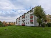 Gemütliche Etagenwohnung in Essen 55,4m² Wohnfläche mit...