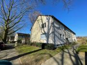 3 Zimmer Wohnung in Gerthe