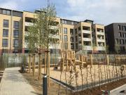 3 Zimmer Wohnung in Grumme