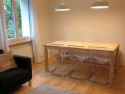 3½ Zimmer Wohnung in Luzern, möbliert, auf Zeit 3½ Zimmer Wohnung in Luzern, möbliert, auf Zeit