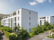 3 ½ Zimmer Wohnung in Spreitenbach mieten