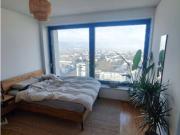 3 Zimmer Wohnung in Zürich Kreis 9 Altstetten, möbliert,...