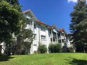 3 ½ Zimmer Wohnung in Zürich mieten