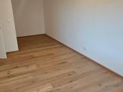 3 Zimmer Wohnung mit Garten