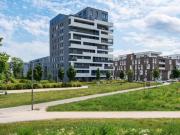 3 Zimmer Wohnung mit großem Balkon in der Johannesvorstadt