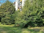 3 Zimmer Wohnung suchen nach Mieter 557 warme