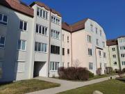 3 Zimmer Wohnung, Top 1