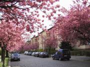 3 Zimmerwohnung im Ulmenhof! Perfekt für kleine Familien!