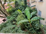 3 Zimmerwohnung nähe Zoo und EZB