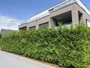 Teilmöblierte Erdgeschosswohnung in GT Avenwedde