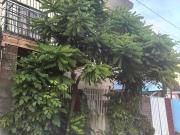 3Bedrooms Two Storey Rush Sale Affordable Price...