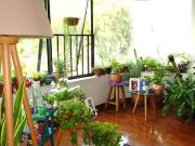 3ER PISO. VISTA EXTERIOR. 3 DORMITORIOS, SERVICIOS. 147m2