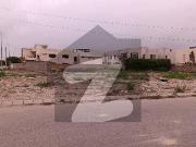 4000 Sq Yard Prime Location