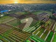 400 Kanal Land For Sale On Bandot ChakBeliKhan/Chakwal...