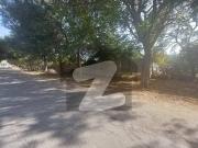 400 Square Yards North Open 70 Ft Wide Road Plot...