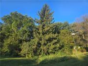 402 Jefferson Street