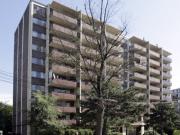 407 191 St George Street